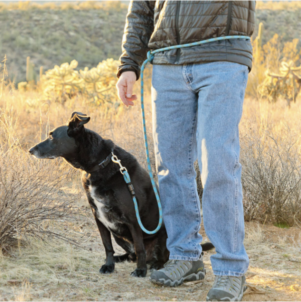 TGS Leashes (Set of 2)